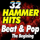 B. Bumble / Bobby Vinton / Brenda Lee / Brian Hyland / Bruce Channel / Chris Momtez / Cliff Richard / Don Gardner, Dee Dee Ford / Dreamers Project / Elvis Presley "The King" / Ernie Marisca / Etta James / Gene Vincent / Little Eva / Neil Sedaka / Ray Charles / Shirley Caddel, The Aristocrats / Tennessee / The Beach Boys / The Crystals / The Drifters / The Duprees / The Earls / The Four Seasens / The Isley Brothers / The Miracles / The Sensations / The Shirelles / The Stingers - 32 hammer hits beat & pop the begining