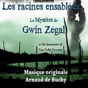 Arnaud De Buchy / Yann Veillet Kerverzio - Les racines ensabl&eacute;es - le myst&egrave;re de gwin zegal