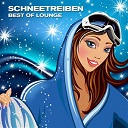 351 Lake Shore Drive / Alby / Andy / Asheni / Cinemascope / Eddie Silverton / Esteban Garcia Junior / Ingo Herrmann / Insilent / Jble / Kaledj / Luis Hermandez / Marga Sol / Nardis - Schneetreiben (snow flurry, best of lounge)