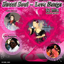 Ann Peebles / Barbara Carr / Bill Coday / Charlie Wood / Clarence Carter / Clay Hammond / Dan Penn / David Hudson / Eddie Hilton / Howard Tate / J Blackfoot / Jackie Johnson / James Carr / James Govan / Lavern Baker / Millie Jackson / Otis Clay / Rufus Thomas / Shirley Brown / The Memphis All Stars / William Bell - Sweet soul (love songs)
