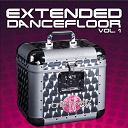Bumpers / Candy / Chic Flowerz / Dj Raxx / F Physical / Shot / Tom Slake / Venus Kaly - Extended dancefloor, vol. 1