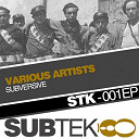 Bassrael / Gully Floss / Jak A Tron / Liam Logik / Mr Bristow / Narky / Nde / Radaza / Reixtra - Subversive - subtek sampler