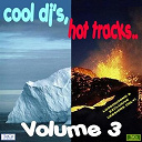 A Project / Audrey / Jake Van K / Jay / John Marks / Level 2 / M (Mathieu Chedid) / Maroy / Robyn / Roy Gates / Terry Williams / Tyrah Morena / Varian / Wickit / Yamaz - Cool dj's, hot tracks - vol. 3