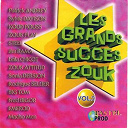 Alain Ajax / Big Tom / Celia Delver / Co. / Emerod / Fred Bigor / Jim Rama / Leila Chicot / Patrick Andrey / Rodrigue Sellier / Sonia Dersion / Steel / Sylvie Davison / Yolande Valton / Yves Gontrand / Zouk / Zouk Attitud - Les grands succ&egrave;s zouk, vol. 2