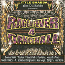 Blacka-P / Boulaye / Danger / Doudou Masta / Faya Storm / Ganja Kulu / Maddish / Opac / Papa Fagan / Psycho / Rasta Jef / Sensitive / Tiwony / Typical Fefe - Ragga fever dance hall, vol. 4