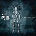 Gojira - The way of all flesh