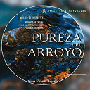Laurent Dury - Atmosferas naturales - pureza del arroyo
