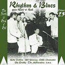 Aggie Dukes / Big Bill Broonzy / Big Daddy / Bobo Jenkins / Eddy / George Harmonica Smith / His Boys / Jay Nelson & His Jumpers / John Lee Henley / Johnny Chef / Juke Boy Bonner / King Coleman / Larry Darnell / Millionaires / Otis Rush / Phil Flowers / Ricky Charles / The Silhouettes / The Thunderbirds / Tiny Lewis / Wynona Carr - Rhythm & blues goes rock & roll, vol. 23
