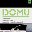 Domu - Springbreak / something new