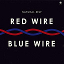 Natural Self - Red wire blue wire