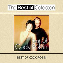Cock Robin / Sade - The best of