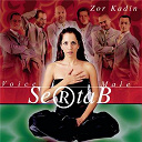 Sertab Erener - Zor kadin