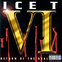 Ice-T - Ice t vi: return of the real