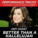Amy Grant - Better than a hallelujah (performance tracks) - ep