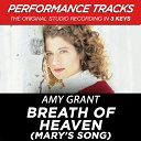 Amy Grant - Breath of heaven (mary's song) (performance tracks) - ep