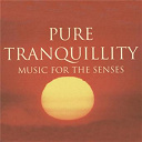 The New World Orchestra - Pure tranquility - music for the senses