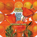 Brian Wilson - That lucky old sun: aol sessions