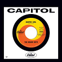 The Beach Boys - Surfer girl