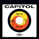 The Beach Boys - Surfin' usa