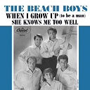 The Beach Boys - When i grow up (to be a man)