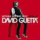 David Guetta - Nothing but the beat ultimate