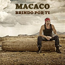 Macaco - Brindo por t&iacute;