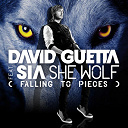 David Guetta - She wolf (falling to pieces)(feat. sia)