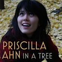 Priscilla Ahn - In a tree