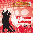 The Professional Dj - Ballroom dancing, vol. 1 (couple dances for weddings, dance schools etc..)