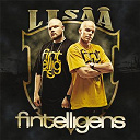 Fintelligens - Lis&auml;&auml;